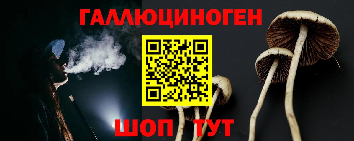 Галлюциногенные грибы мицелий  Вход с VPN  Дзержинский  Галлюциногенные грибы GOLDEN TEACHER 