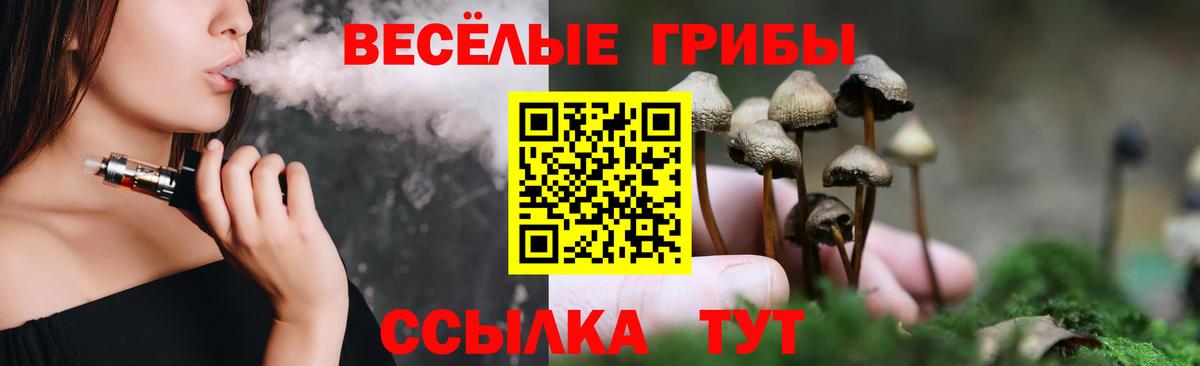 Галлюциногенные грибы Psilocybine cubensis Дзержинский